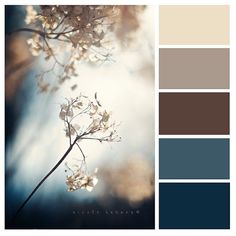 the color palette is blue, brown and white with some flowers on top of it