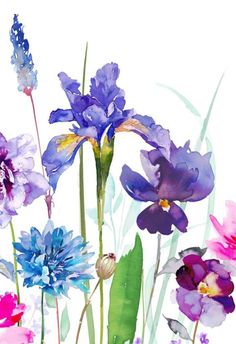 watercolor painting of purple and blue flowers