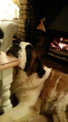 a dog laying on the floor next to a table with a fire place in it