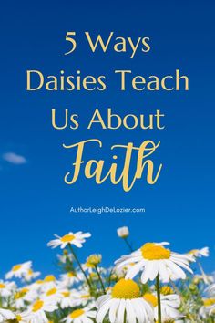 daisies in a field with the quote "5 ways daisies teach us about faith" Plant Bedroom Aesthetic Minimalist, Plant Bedroom Aesthetic, Bedroom Aesthetic Minimalist, Plant Bedroom, Womens Ministry Events, Christian Women's Ministry, Childrens Sermons, Primary Activities, Church Ministry