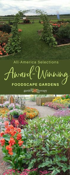 the front cover of an award winning landscape garden with colorful flowers and trees in the background