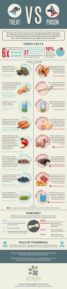 an info sheet showing the different types of food in each country, including fish and vegetables