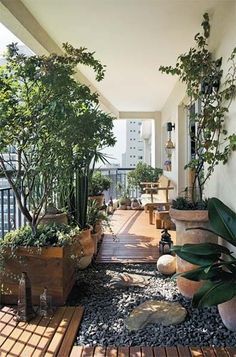 an outdoor area with potted plants and wooden steps leading up to the roof deck