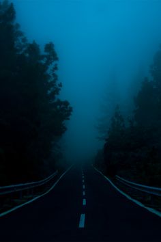 a foggy road with trees on both sides and one lane going through the middle