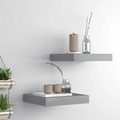 two white shelves with plants and vases on them