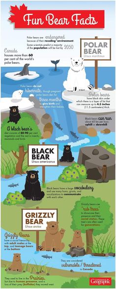 an info poster showing different types of animals