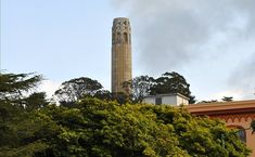 a tall clock tower towering over a lush green forest