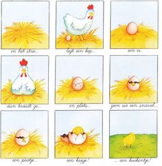 an image of chickens and eggs in different stages of their life cycle on the same page