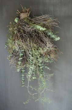 a bunch of green plants hanging from a rope on a gray wall in front of a blackboard