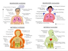 three different types of nematholia and their associated functions in the human body