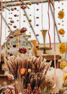 an arrangement of dried flowers hanging from the ceiling