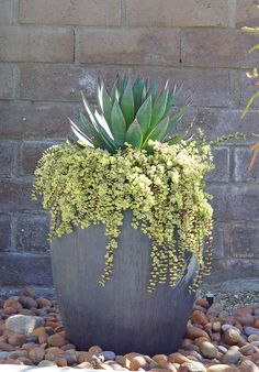 a large planter filled with green plants on top of a rock covered ground next to a brick wall