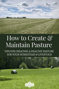 an open field with hay bales in the foreground and text how to create & maintain pasture