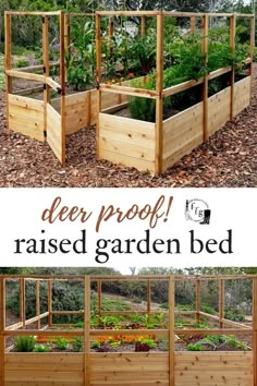 an outdoor garden bed made out of wooden pallets with plants growing in it and the words, deer proof raised garden bed