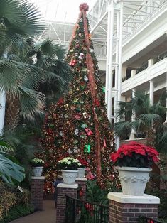 the christmas tree in the atrium is decorated with lights and ornaments, including poinsettis