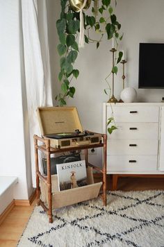 a living room with an old record player and plant