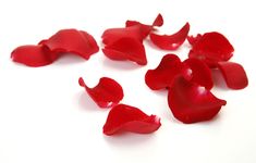 red petals are scattered on a white surface