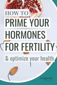 Learning how to balance hormones naturally can be tricky. If you are trying to conceive and wanting to prepare your body for pregnancy this post is for you. In this post I share how to get hormones in balance so you can prepare your body for a baby. Check out magnoliawellnessoc.com for more TTC tips and advice How To Balance Hormones, Ttc Tips, Sperm Health, Balancing Hormones, Healthy Journey, Balance Your Hormones, Cycle Syncing, Baby Check