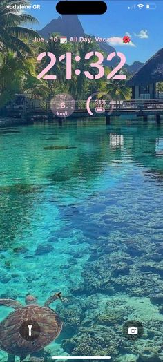 an image of a turtle swimming in the water next to a dock and palm trees