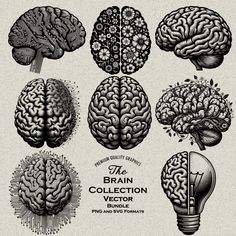 the brain collection is shown in black and white