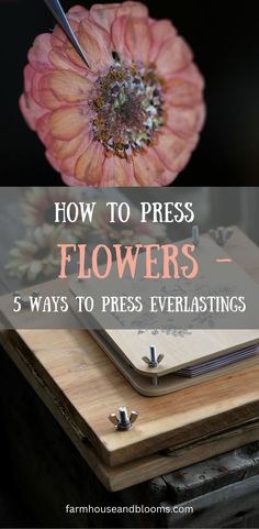 two pictures, one of a pressed zinnia flower, and one of several wooden flower presses How To Quick Dry Flowers, Pressing Dried Flowers, Drying And Pressing Flowers, How To Press Fresh Flowers, Pressing Wedding Flowers, How To Dry Flowers Flat, How To Press Wedding Flowers, How To Press Flowers And Keep The Color, How To Dry Out Flowers To Save