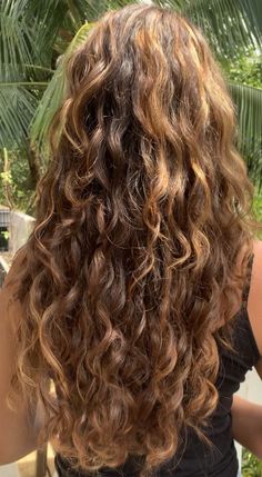 Brown Curly Hair Highlights, Highlights On Wavy Hair, Honey Blonde Highlights Curly Hair, Summer Hair Aesthetic, Brown Beach Hair, Long Wavy Hair Natural, Light Brown Wavy Hair, Light Brown Curly Hair, Long Curly Brown Hair