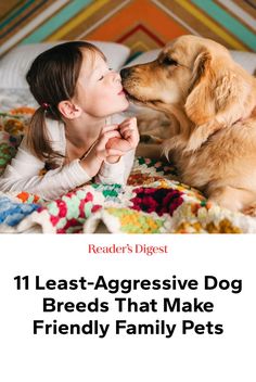 While any dog can bite, the least-aggressive breeds usually turn out to be particularly sweet-tempered, as long as they're treated right. Aggressive Dog Breeds, Dog Friendly Beach, Family Pets, Aggressive Dog, Guide Dog, American Universities, Veterinary Medicine, Mountain Dogs, Cavalier King Charles Spaniel