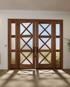 an open wooden door with glass panels in the middle of a room, and a potted plant next to it