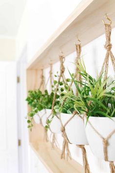 three hanging planters with plants in them on a wooden shelf next to a door