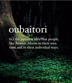 Rare Words To Describe Someone, Describe Someone, Powerful Phrases, Words To Describe Someone, Words That Describe Feelings, Word Nerd