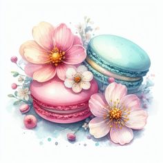 two macaroons and flowers on a white background with watercolor paint style painting