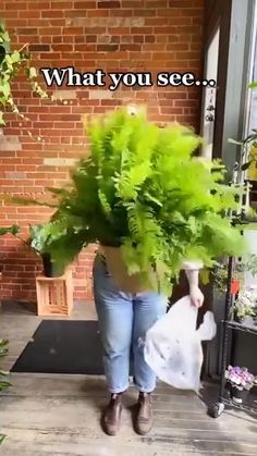 a woman carrying a large potted plant on top of her back legs with the words, what you see?