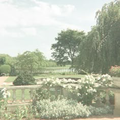 an old photo of a garden with white flowers and trees in the backround