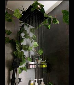 a shower head with plants growing on the side and water running down it's sides