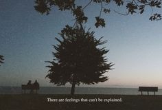 there are two people sitting on benches near the water at dusk, with an inspirational quote about love