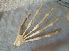 an animal's skeleton is laying on a blanket next to a cup and utensils