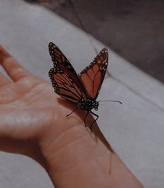 a small butterfly sitting on the palm of someone's hand in front of a sidewalk