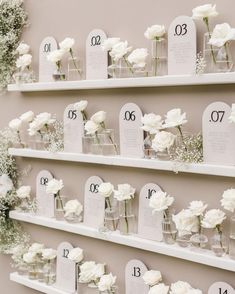 white flowers are placed in glass vases on the wall next to each other and numbered with numbers