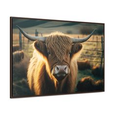 a brown cow with long horns standing in front of a fence and grass field, looking at the camera