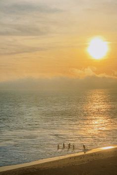 birds are standing on the beach as the sun sets