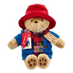 a brown teddy bear wearing a red hat and blue shirt