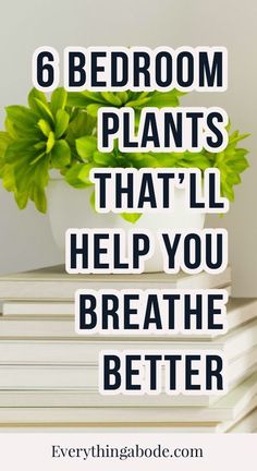 a stack of books with the title 6 bedroom plants that'll help you breathe better