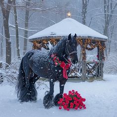 a black horse standing in the snow next to a gazebo with christmas lights on it