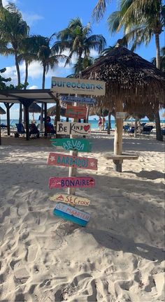 a bunch of signs that are in the sand by some water and palm trees on a beach