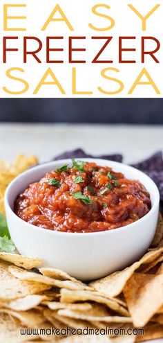 easy freezer salsa in a white bowl surrounded by tortilla chips