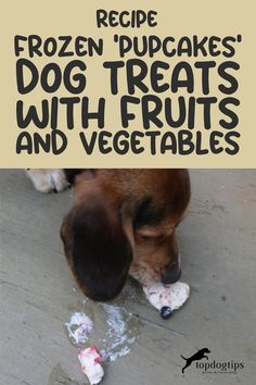 Recipe: Frozen ‘Pupcakes’ Dog Treats With Fruits and Vegetables Pupcakes Dog, Pupcake Recipe, Dog Treats Recipe, Fresh Fruits, Dog Treat Recipes, Recipe Video, Homemade Dog