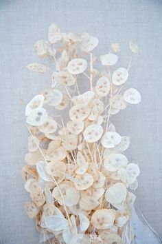 a bunch of dried flowers sitting on top of a table