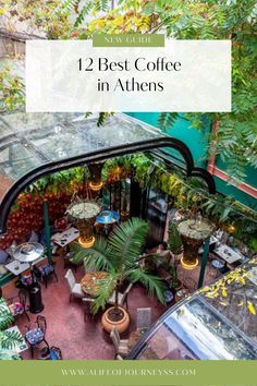 an overhead view of a coffee shop with plants and potted trees in the background