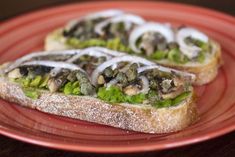 two pieces of bread on a red plate with white icing and vegetables in the middle