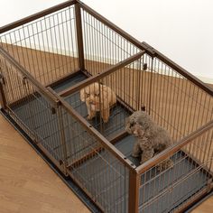 two dogs are sitting in their cages on the floor